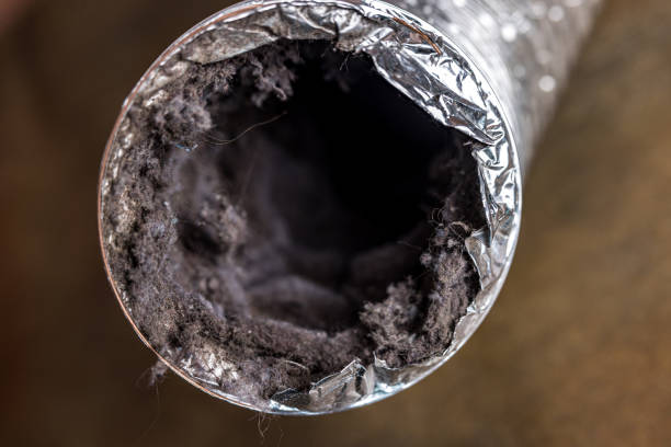 Best Commercial Air Duct Cleaning  in Hurlock, MD