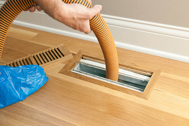 Best Affordable Air Duct Cleaning  in Hurlock, MD