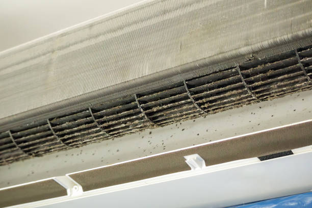 Best Local Air Duct Cleaning Services  in Hurlock, MD